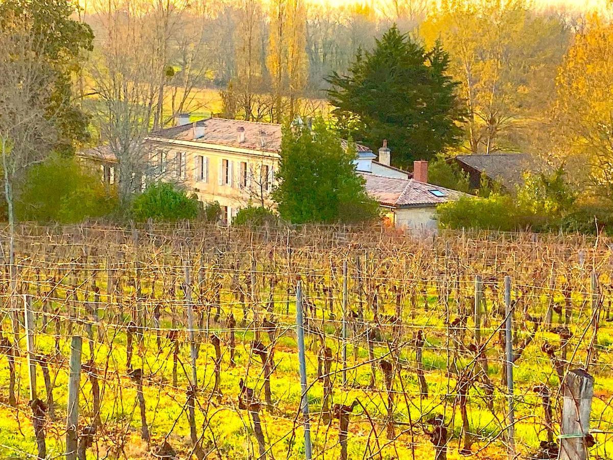 فيلا Fabuleux - Domaine Du Moulin D'Andraut Bordeaux-Chevaux-Golf-St Emilion Montussan المظهر الخارجي الصورة